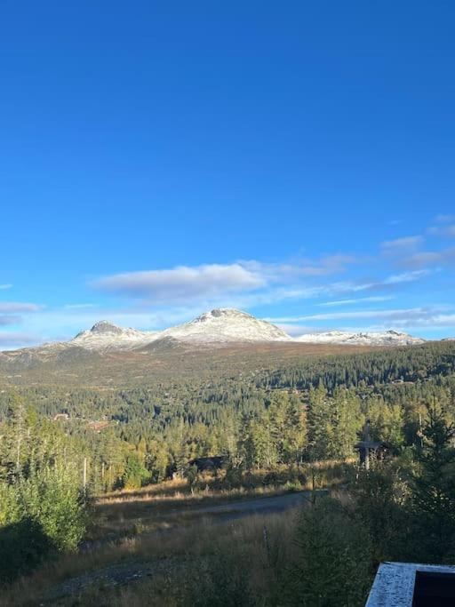 Hytte I Tuddal Villa Hjartdal Екстериор снимка